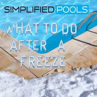 What to Do after a Freeze