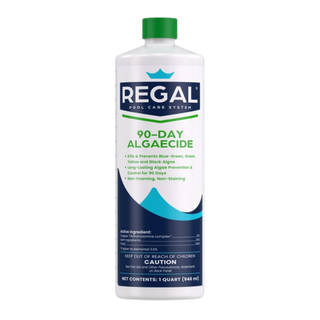 90-Day Algaecide 1 qt Bottle