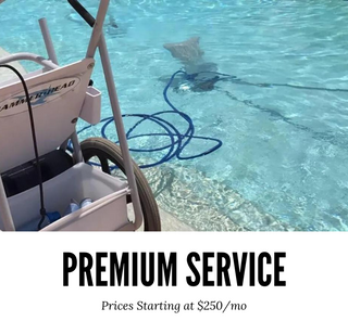Premium Weekly Pool Service