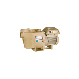 WhisperFlo® VST Variable Speed Pool Pump